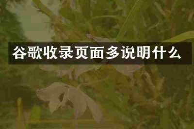 谷歌收录页面多说明什么