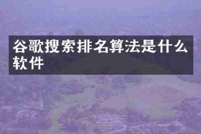 谷歌搜索排名算法是什么软件