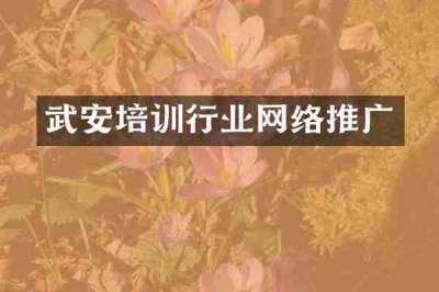 武安培训行业网络推广