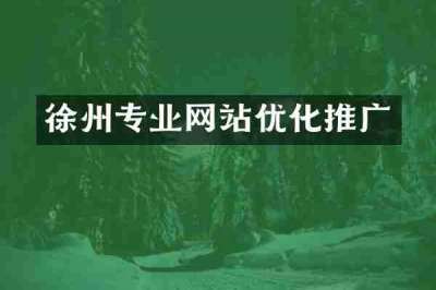 徐州专业网站优化推广