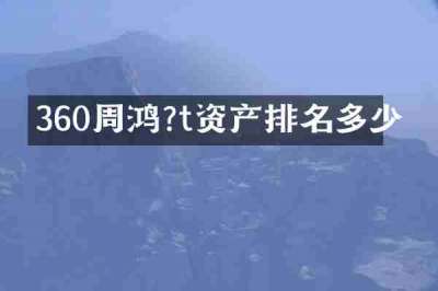 360周鸿?t资产排名多少
