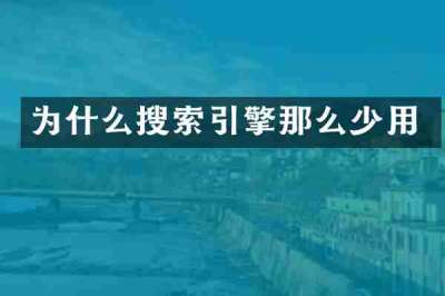 为什么搜索引擎那么少用