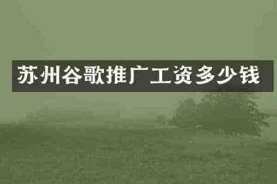 苏州谷歌推广工资多少钱