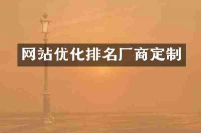 网站优化排名厂商定制