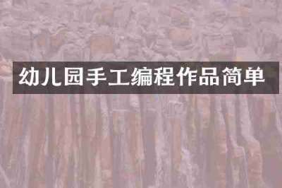 幼儿园手工编程作品简单