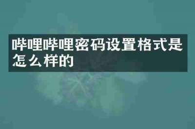 哔哩哔哩密码设置格式是怎么样的