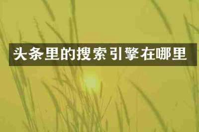 头条里的搜索引擎在哪里