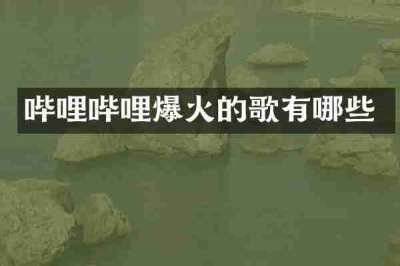 哔哩哔哩爆火的歌有哪些