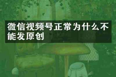 微信视频号正常为什么不能发原创