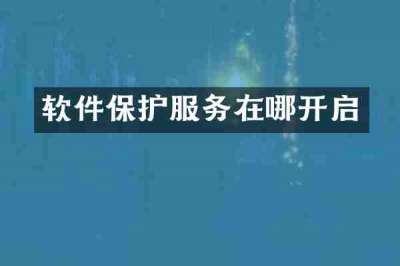 软件保护服务在哪开启