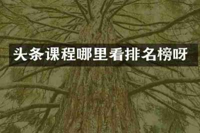 头条课程哪里看排名榜呀