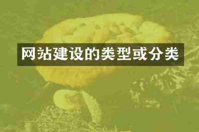 网站建设的类型或分类