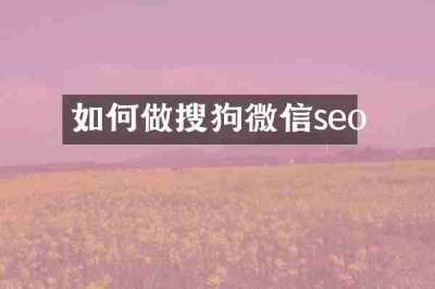如何做搜狗微信seo