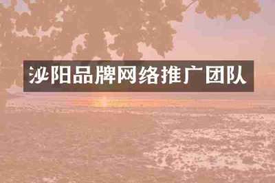 泌阳品牌网络推广团队