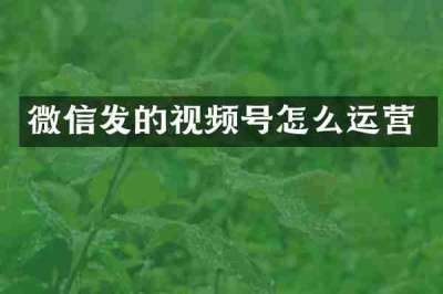微信发的视频号怎么运营