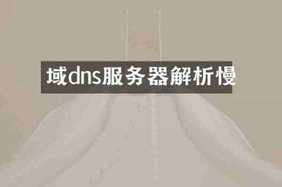 域dns服务器解析慢