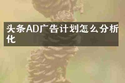 头条AD广告计划怎么分析优化