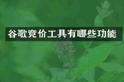 谷歌竞价工具有哪些功能
