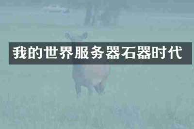 我的世界服务器石器时代