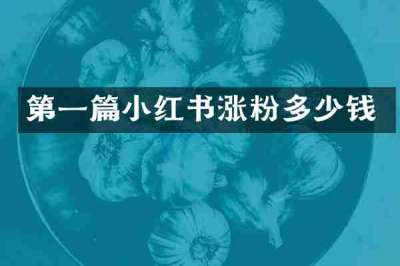 第一篇小红书涨粉多少钱
