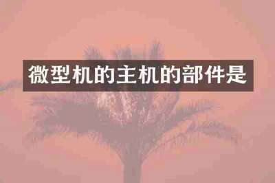 微型机的主机的部件是