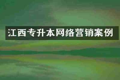 江西专升本网络营销案例