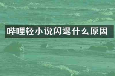 哔哩轻小说闪退什么原因