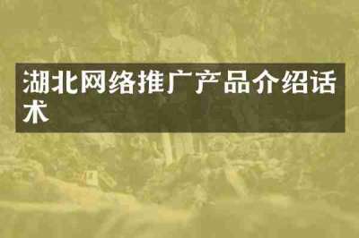 湖北网络推广产品介绍话术
