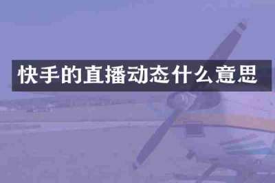 快手的直播动态什么意思