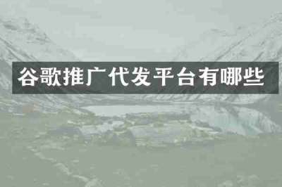 谷歌推广代发平台有哪些