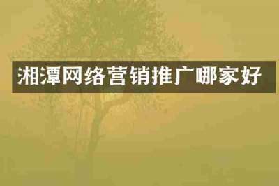 湘潭网络营销推广哪家好