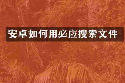 安卓如何用必应搜索文件