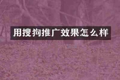 用搜狗推广效果怎么样