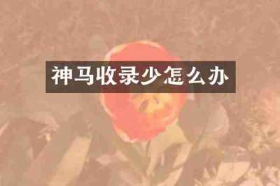 神马收录少怎么办