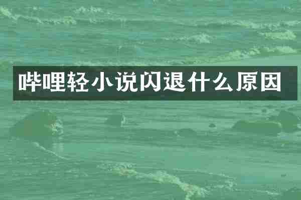 哔哩轻小说闪退什么原因