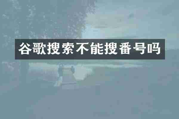谷歌搜索不能搜番号吗