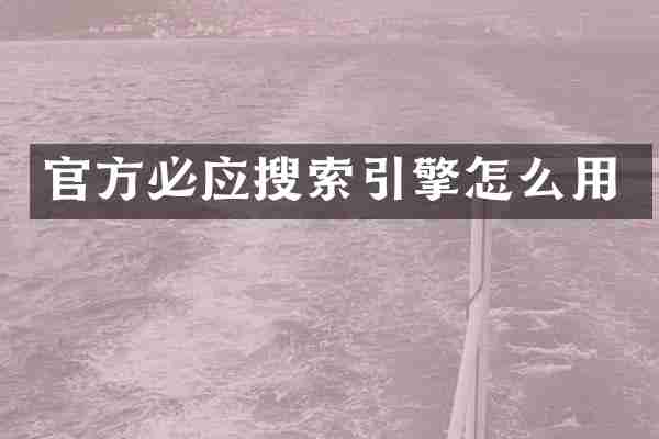 官方必应搜索引擎怎么用