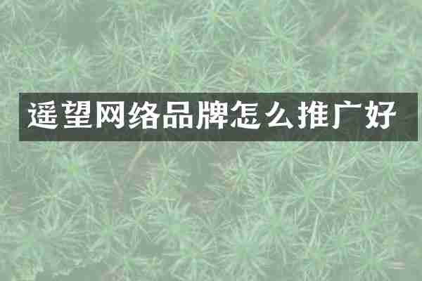 遥望网络品牌怎么推广好