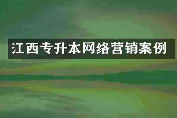 江西专升本网络营销案例