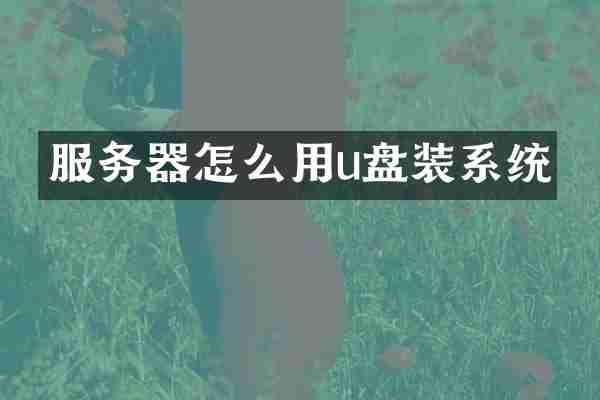 服务器怎么用u盘装系统