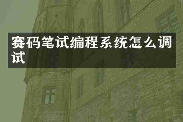 赛码笔试编程系统怎么调试
