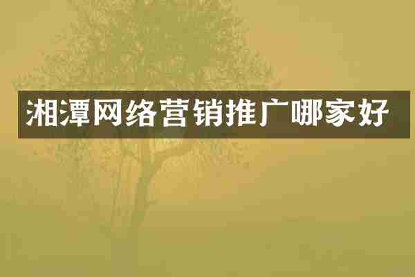 湘潭网络营销推广哪家好