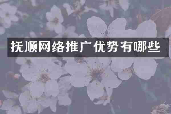 抚顺网络推广优势有哪些