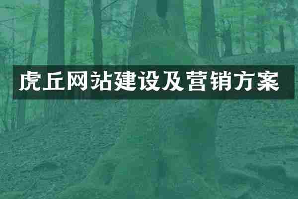 虎丘网站建设及营销方案