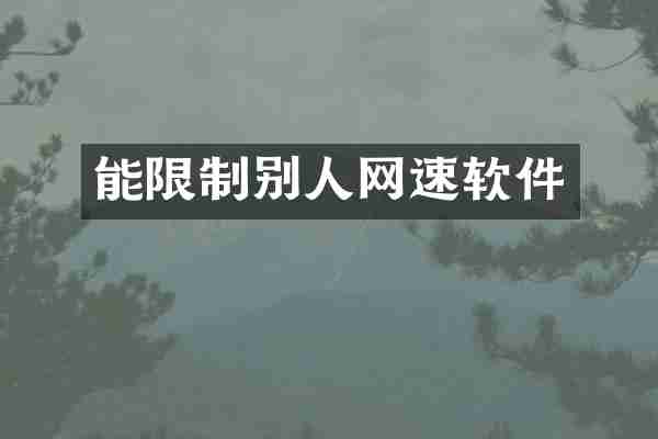 能限制别人网速软件