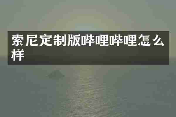 定制版哔哩哔哩怎么样