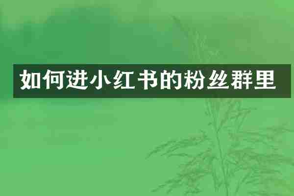 如何进小红书的粉丝群里