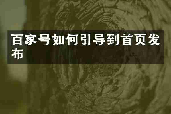 百家号如何引导到首页发布