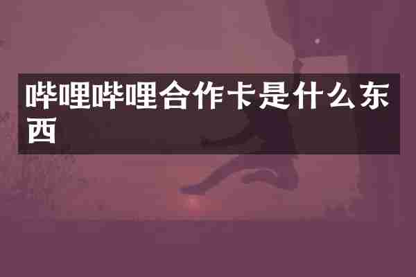 哔哩哔哩合作卡是什么东西