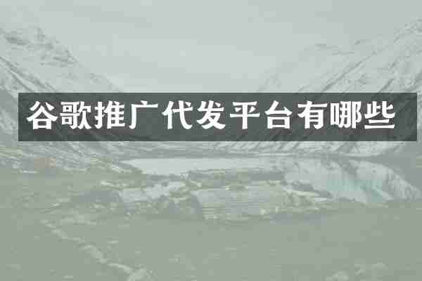 谷歌推广代发平台有哪些